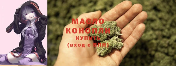 Альфа ПВП Каменка