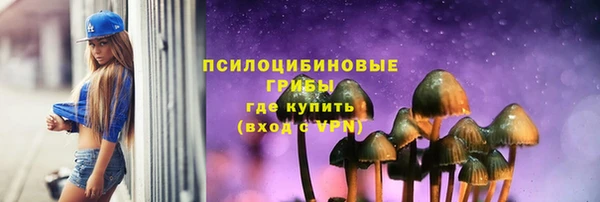 Альфа ПВП Каменка