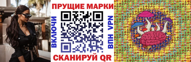 Купить где  Волжск  Марки 25I-NBOMe 1,5мг 