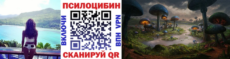 Купить закладки  Волжск  Галлюциногенные грибы мухоморы 